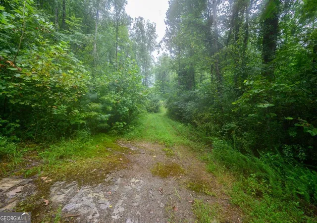 Photo 3 of Land for sale at 11094 Old 441 S, Lakemont, GA 30552 | MLS# 10578092 | Listing updated on 2026-09-23