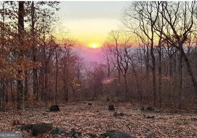 Photo 1 of Land for sale at 0 Andes Ridge, Jasper, GA 30143 | MLS# 10879781 | Listing updated on 2026-10-30