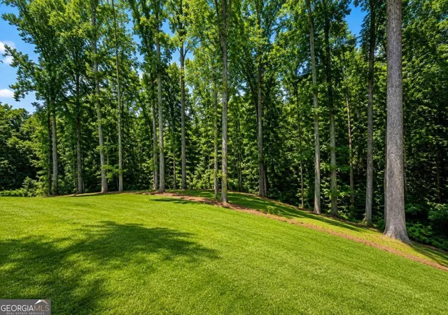 45th image of 91 Lenten Rose Ln, Pendergrass, GA 30567 | MLS# 10808825