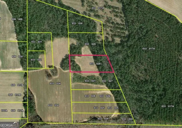 2nd image of 00 Webster Rd, Waynesboro, GA 30830 | MLS# 10716905