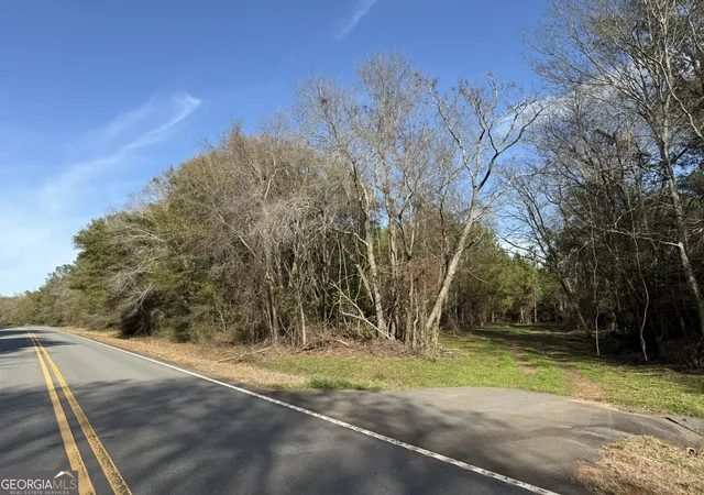 Photo 1 of Land for sale at 006 State Route 45, Plains, GA 31780 | MLS# 10828624 | Listing updated on 2026-09-02
