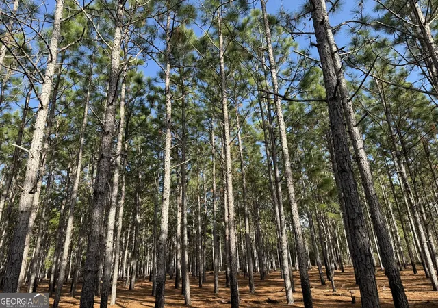 Photo 2 of Land for sale at 006 State Route 45, Plains, GA 31780 | MLS# 10828624 | Listing updated on 2026-09-02