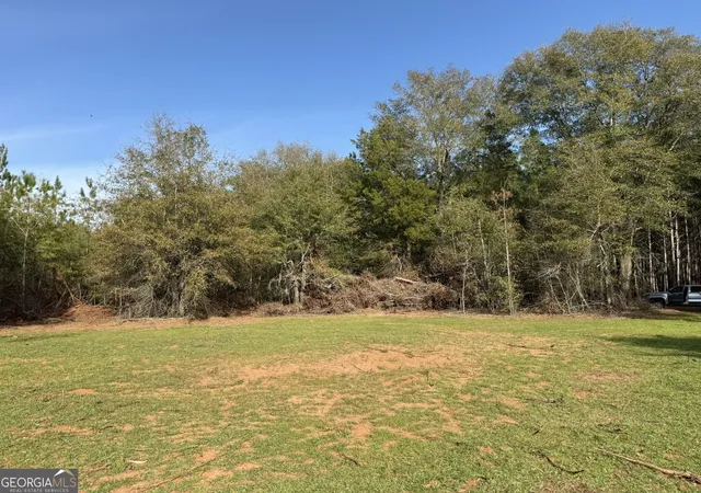 Photo 3 of Land for sale at 006 State Route 45, Plains, GA 31780 | MLS# 10828624 | Listing updated on 2026-09-02