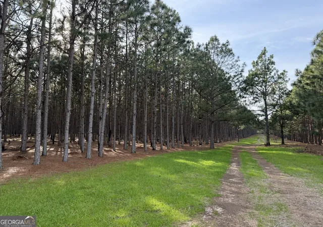 Photo 3 of Land for sale at 006 State Route 45, Plains, GA 31780 | MLS# 10828624 | Listing updated on 2026-09-02