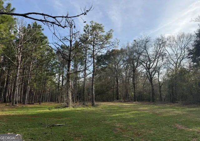 Photo 4 of Land for sale at 006 State Route 45, Plains, GA 31780 | MLS# 10828624 | Listing updated on 2026-09-02