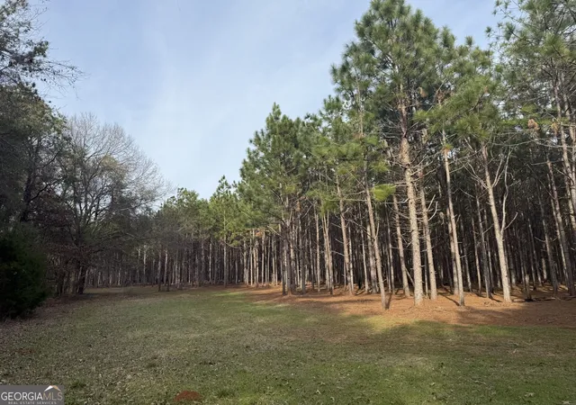 Photo 6 of Land for sale at 006 State Route 45, Plains, GA 31780 | MLS# 10828624 | Listing updated on 2026-09-02