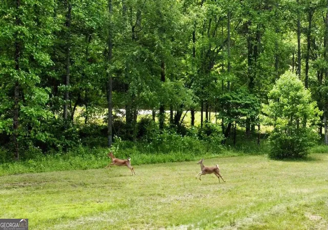 5th image of Tract 1 Timber Ridge Road, Blairsville, GA 30512 | MLS# 10528850
