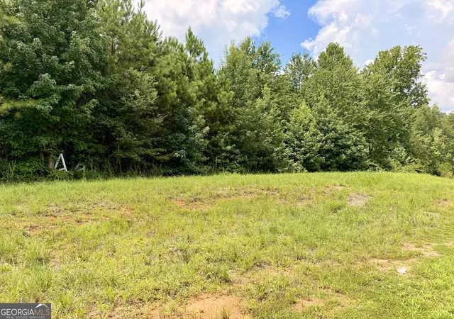 Photo 4 of Land for sale at 2192 Hiram Douglasville Hwy, Hiram, GA 30141 | MLS# 10833128 | Listing updated on 2026-09-14