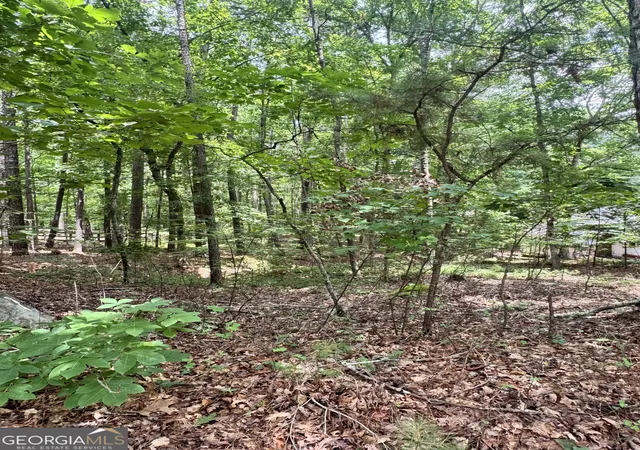 Photo 4 of Land for sale at 6031 Belle Meade Ct, Villa Rica, GA 30180 | MLS# 10776927 | Listing updated on 2026-09-26