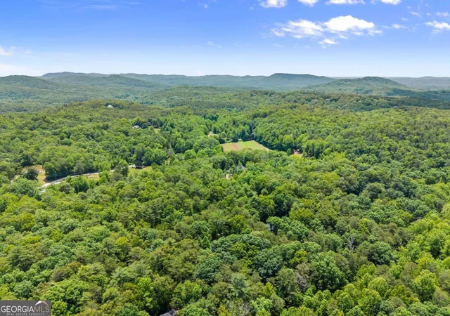 Homes for sale in Sautee Nacoochee, GA | 116 Marion Ln, Sautee Nacoochee, GA 30571 | MLS# 10776200