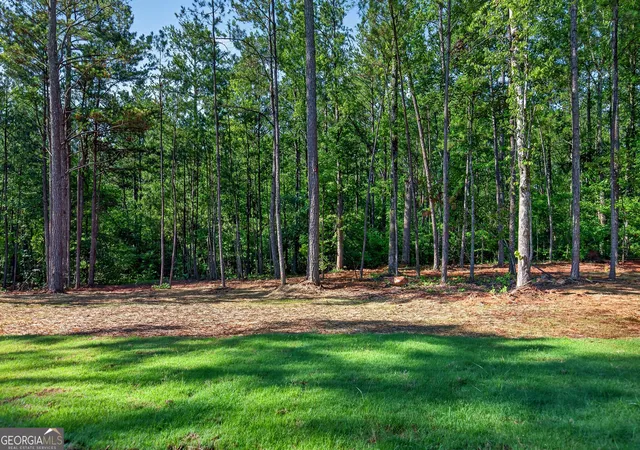 Homes for sale in Greenville, GA | 242 Glavine St, Greenville, GA 30222 | MLS# 10802398