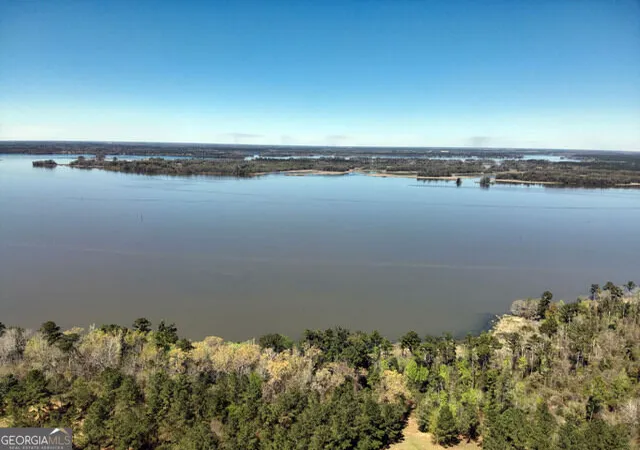 Photo 4 of Land for sale at Tbd Lot 1 Seminole Ridge, Bainbridge, GA 39819 | MLS# 10834872 | Listing updated on 2026-09-11