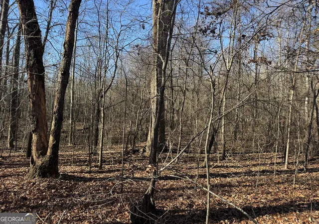 Photo 3 of House for sale at 4611 Monroe Hwy 78 #PARCEL C - 3 ACRES, Bogart, GA 30622 | MLS# 10666676 | Listing updated on 2026-09-28