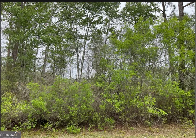 Photo 1 of Land for sale at 0 1601ac #TRACT 4, Townsend, GA 31331 | MLS# 10795306 | Listing updated on 2026-09-11