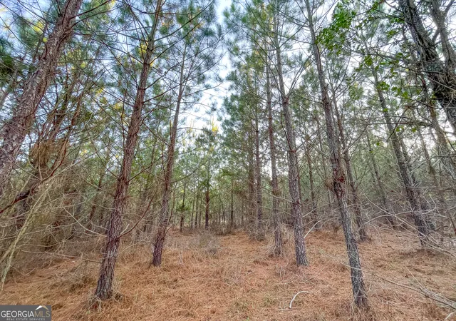 Photo 3 of Land for sale at 91 +/ Acres On Fosters Ml Rd (ga Hwy 100), Cave Spring, GA 30124 | MLS# 10742455 | Listing updated on 2026-05-12