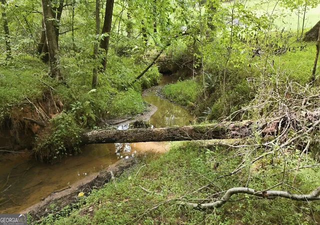 2nd image of 315 Duncan Bridge Ln, Cornelia, GA 30531 | MLS# 10820387