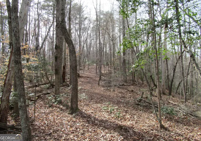 Photo 1 of Land for sale at 00 Long Branch Rd, Dahlonega, GA 30533 | MLS# 10271720 | Listing updated on 2026-04-27