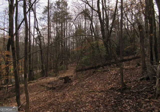 Photo 2 of Land for sale at 00 Long Branch Rd, Dahlonega, GA 30533 | MLS# 10271720 | Listing updated on 2026-04-27