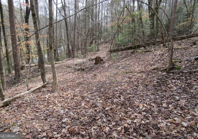 Photo 2 of Land for sale at 00 Long Branch Rd, Dahlonega, GA 30533 | MLS# 10271720 | Listing updated on 2026-04-27