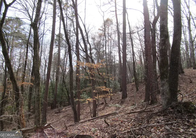 Photo 3 of Land for sale at 00 Long Branch Rd, Dahlonega, GA 30533 | MLS# 10271720 | Listing updated on 2026-04-27
