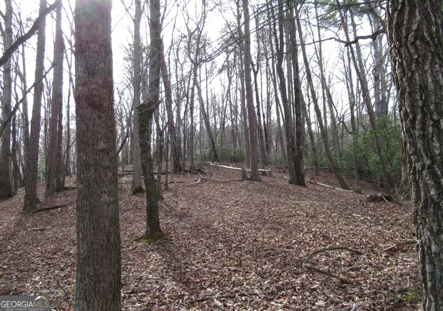Photo 4 of Land for sale at 00 Long Branch Rd, Dahlonega, GA 30533 | MLS# 10271720 | Listing updated on 2026-04-27
