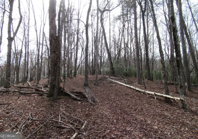 Photo 8 of Land for sale at 00 Long Branch Rd, Dahlonega, GA 30533 | MLS# 10271720 | Listing updated on 2026-04-27