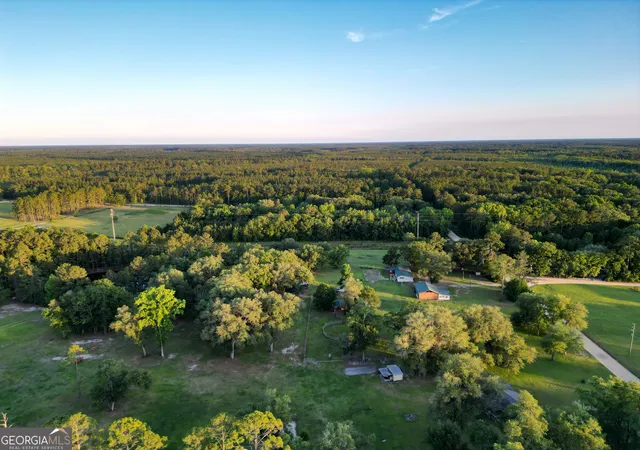 Homes for sale in Ludowici, GA | 3276 Stafford Dairy Rd Se, Ludowici, GA 31316 | MLS# 10770522
