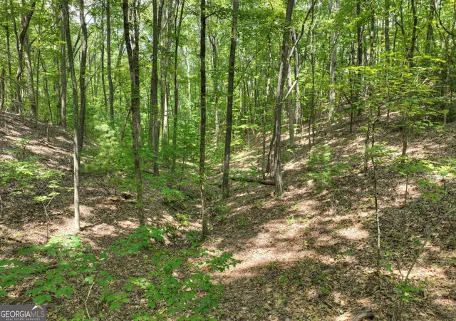4th image of 789 Ac Laurel Springs Rd, Mineral Bluff, GA 30559 | MLS# 10753147