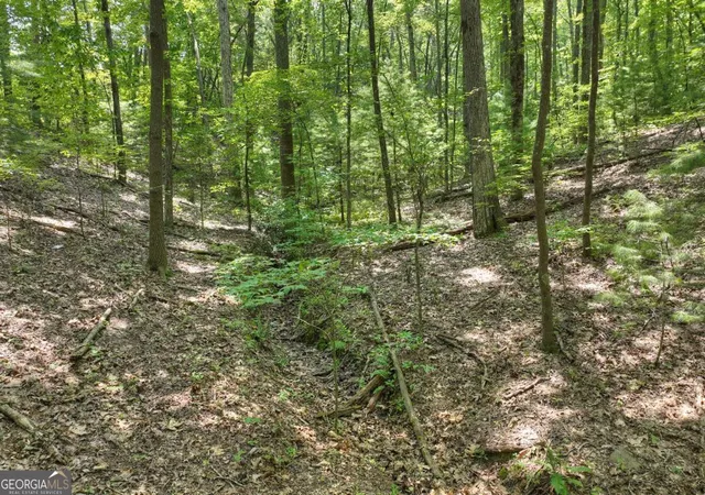 5th image of 789 Ac Laurel Springs Rd, Mineral Bluff, GA 30559 | MLS# 10753147