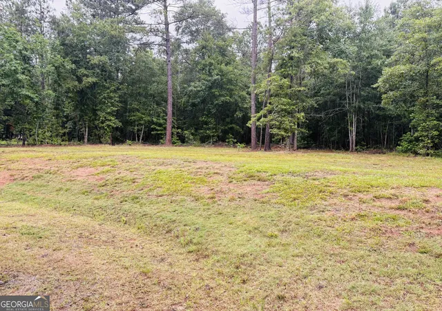 5th image of 196 Chapman Rd, Macon, GA 31211 | MLS# 10781893
