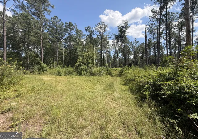 32nd image of 10 Sunhill Grange Rd, Davisboro, GA 31018 | MLS# 10828971
