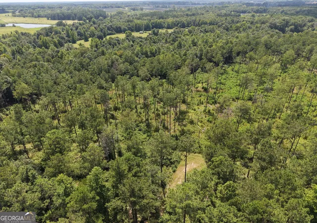 3rd image of 10 Sunhill Grange Rd, Davisboro, GA 31018 | MLS# 10828971