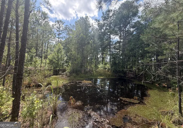 4th image of 10 Sunhill Grange Rd, Davisboro, GA 31018 | MLS# 10828971