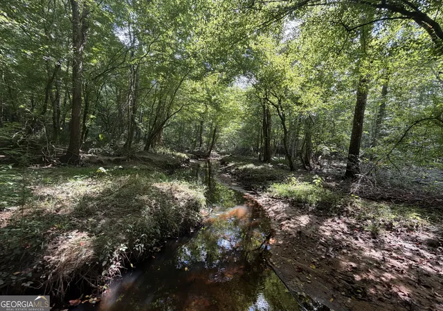 5th image of 10 Sunhill Grange Rd, Davisboro, GA 31018 | MLS# 10828971