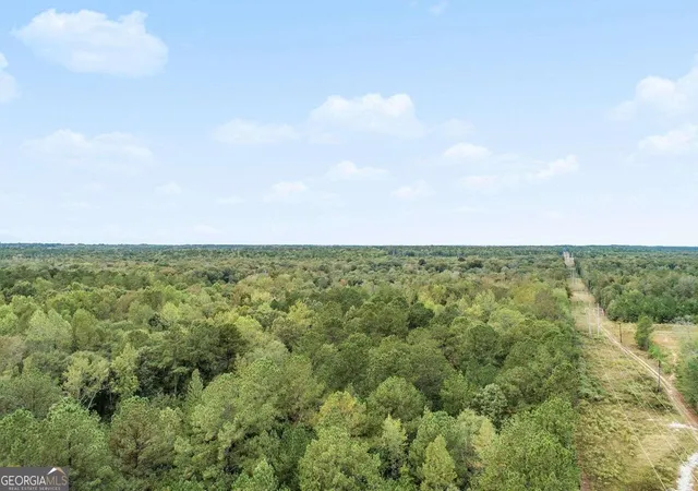2nd image of Ga 85 S Ga Hwy 85, Senoia, GA 30276 | MLS# 10663372