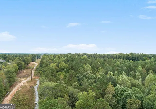 3rd image of Ga 85 S Ga Hwy 85, Senoia, GA 30276 | MLS# 10663372