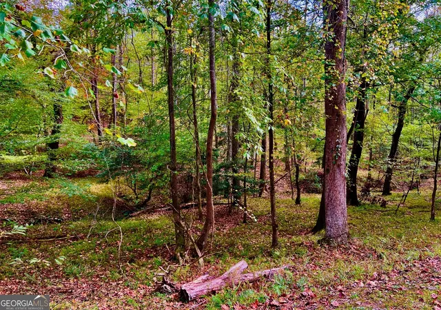 Photo 1 of Land for sale at 574 S Satsuma Ct, Ellijay, GA 30540 | MLS# 10410876 | Listing updated on 2026-04-30