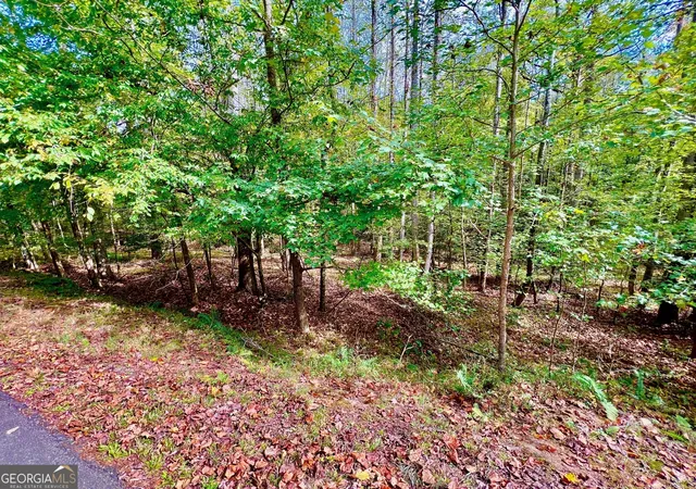 Photo 2 of Land for sale at 574 S Satsuma Ct, Ellijay, GA 30540 | MLS# 10410876 | Listing updated on 2026-04-30