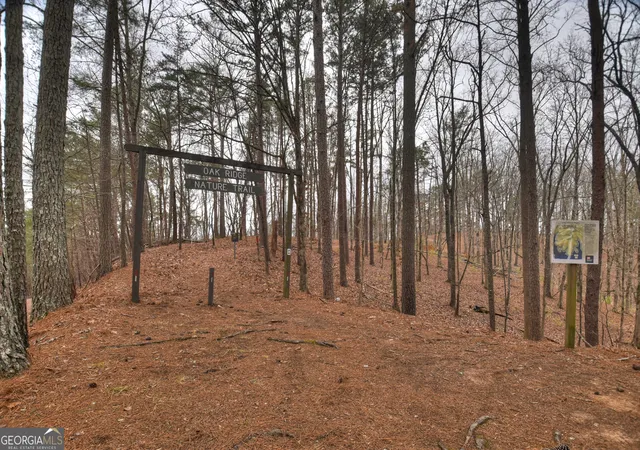 65th image of 144 Emerald Cove Dr, Ellijay, GA 30540 | MLS# 10705272