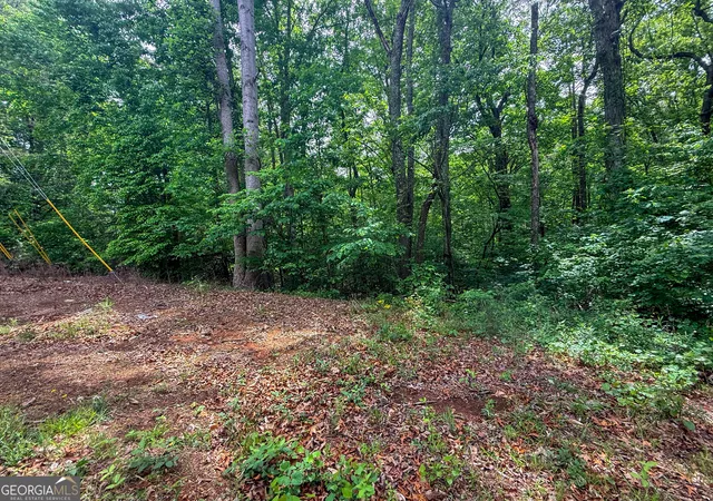 3rd image of 99 Lake Harbor Trl #LOTS 309-312, Martin, GA 30557 | MLS# 10827044