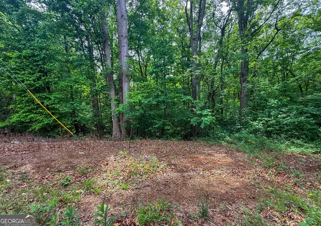 4th image of 99 Lake Harbor Trl #LOTS 309-312, Martin, GA 30557 | MLS# 10827044