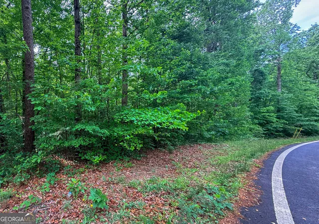 5th image of 99 Lake Harbor Trl #LOTS 309-312, Martin, GA 30557 | MLS# 10827044