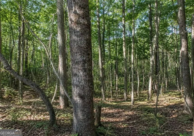 Homes for sale in Dawsonville, GA | Lot 26 Waldrip Rd, Dawsonville, GA 30534 | MLS# 10799778