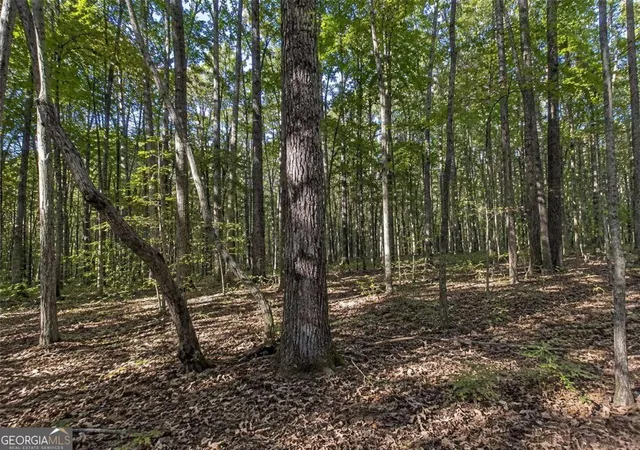 Homes for sale in Dawsonville, GA | Lot 26 Waldrip Rd, Dawsonville, GA 30534 | MLS# 10799778