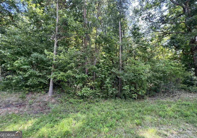 Photo 3 of Land for sale at 0 W Kytle St, Cleveland, GA 30528 | MLS# 10836064 | Listing updated on 2026-09-13