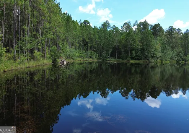 10th image of 1 Highway 25, Portal, GA 30450 | MLS# 10811517