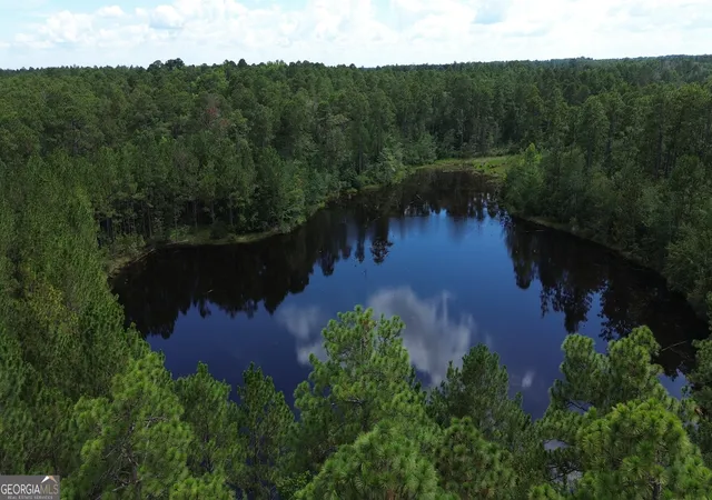 1st image of 1 Highway 25, Portal, GA 30450 | MLS# 10811517