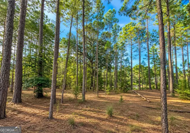 Homes for sale in Waverly, GA | 100 La Vento Ln, Waverly, GA 31565 | MLS# 10797712