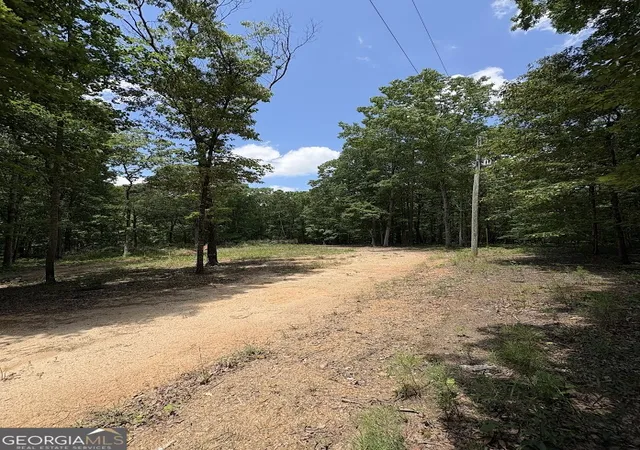 Homes for sale in Tallapoosa, GA | 4492 US 78, Tallapoosa, GA 30176 | MLS# 10776409
