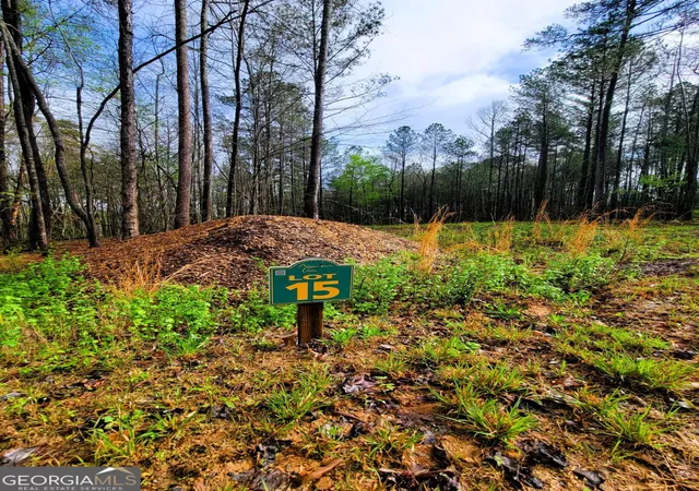 Photo 20 of Land for sale at 191 Mountaingate Way, Ellijay, GA 30536 | MLS# 10738957 | Listing updated on 2026-05-06